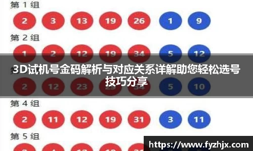 3D试机号金码解析与对应关系详解助您轻松选号技巧分享